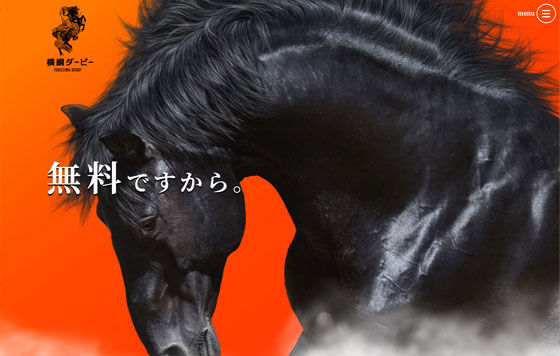 横綱ダービー 優良サイト 検証